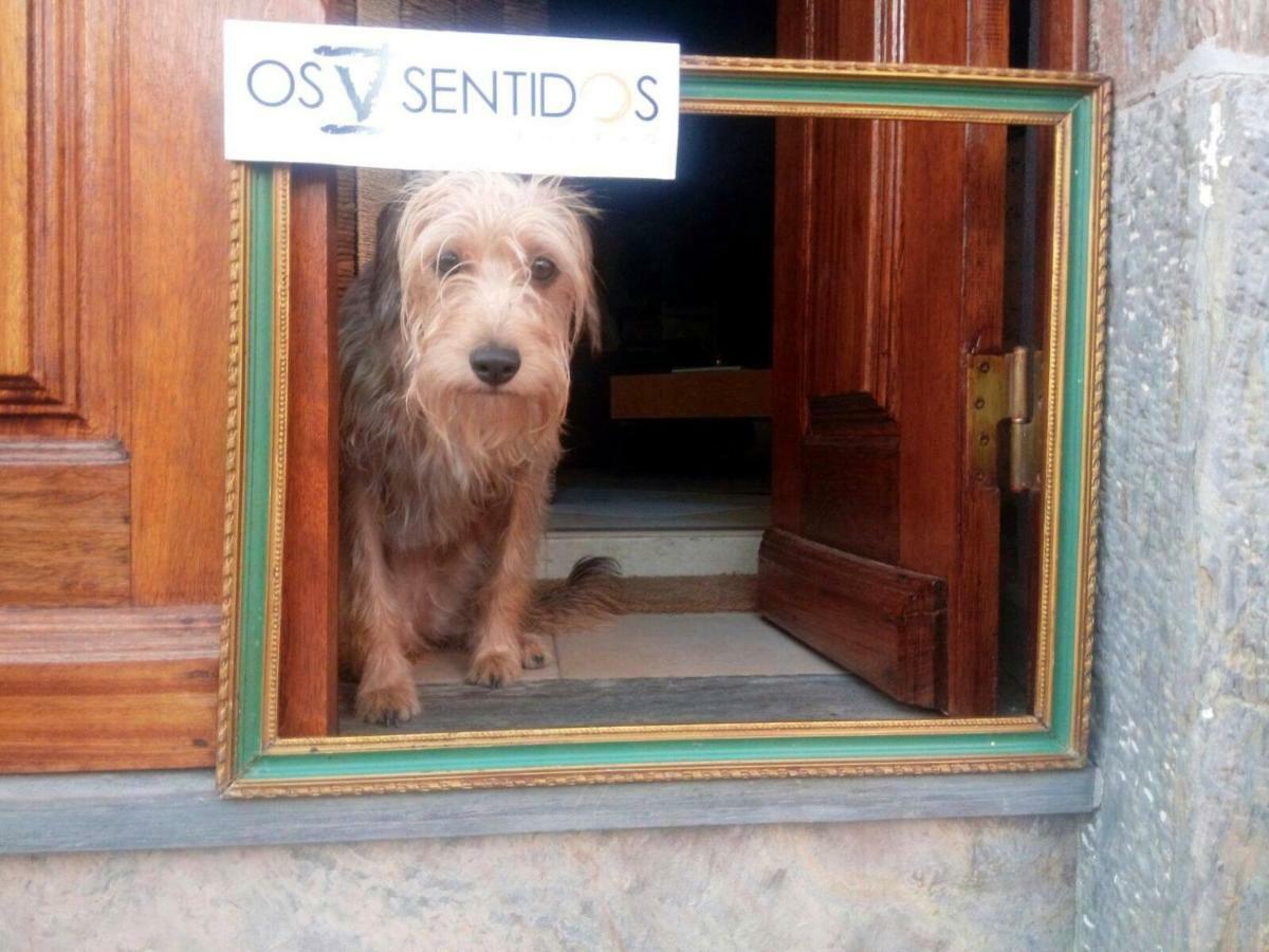 Mourão Os 5 Sentidos 빌라 외부 사진